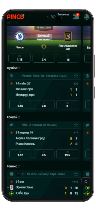 pinco bet