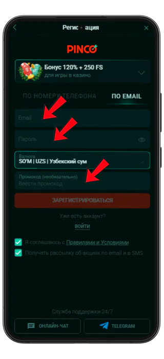 Pinco Uz